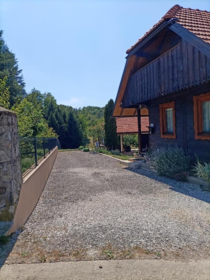 Appartement Kuca Za Odmor Braco à Donji Zvecaj Extérieur photo